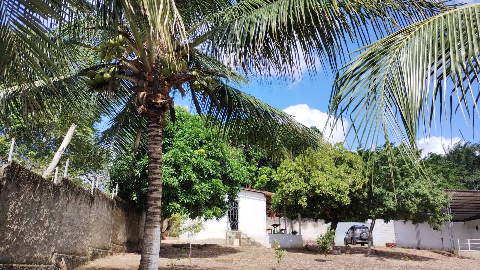 Casa à venda com 2 quartos, 1800m² - Foto 3