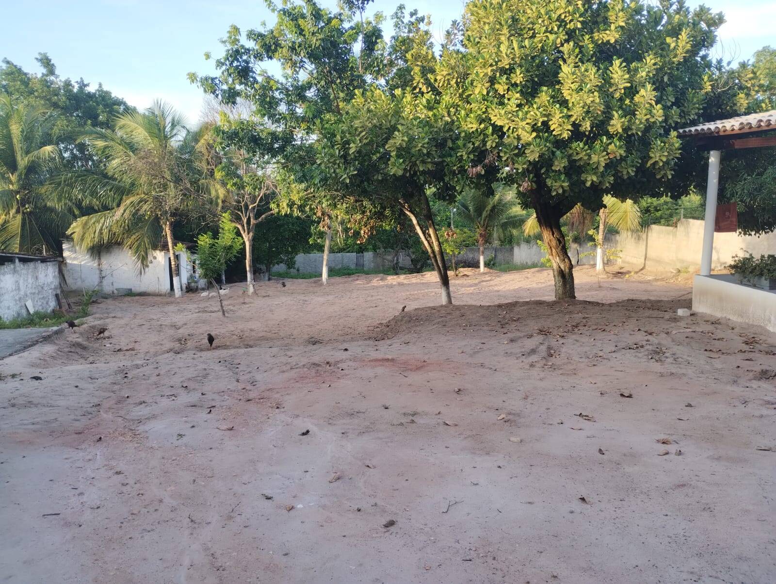 Casa à venda com 2 quartos, 1800m² - Foto 4