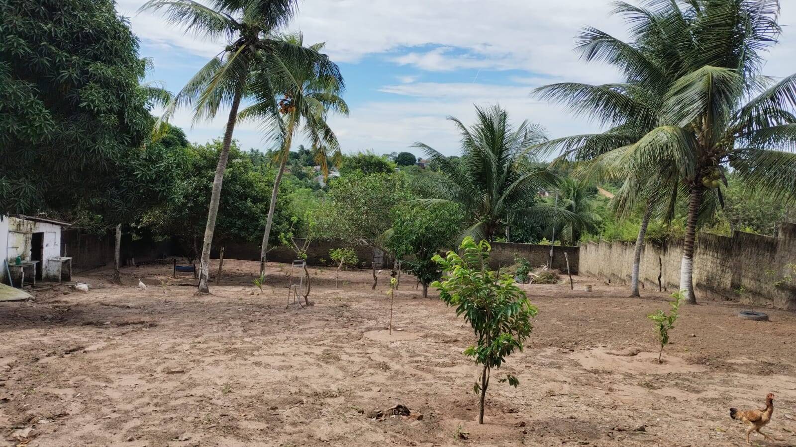 Casa à venda com 2 quartos, 1800m² - Foto 5