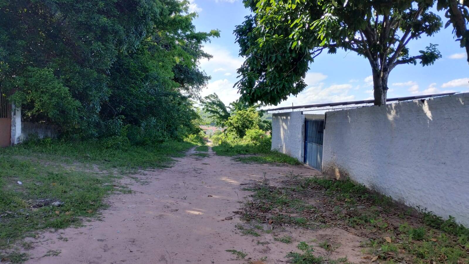 Casa à venda com 2 quartos, 1800m² - Foto 7