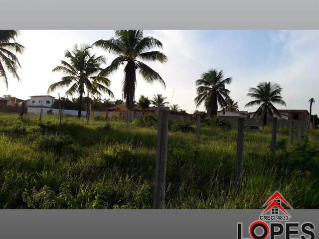 #250 - Área para Venda em Parnamirim - RN - 3