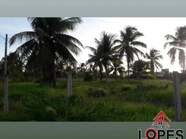 #250 - Área para Venda em Parnamirim - RN - 2