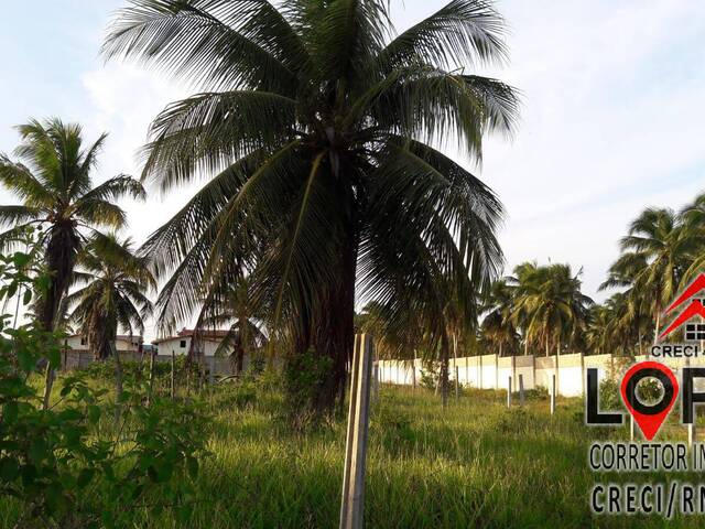 Área para Venda em Parnamirim - 4