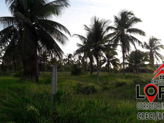 #250 - Área para Venda em Parnamirim - RN - 1